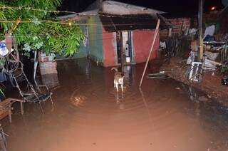 Quintal de residência da Vila Cachoeirinha inundado durante a chuva de ontem (Foto: Sidney Bronka/94 FM)