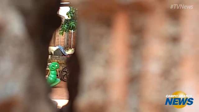 Uma fresta no muro, uma vizinha atenta e um monstro descoberto no Santa Carm&eacute;lia