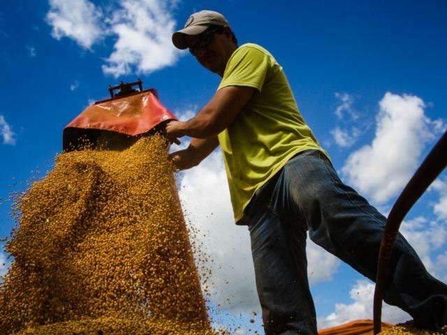 Rotatividade despenca 18,05% no setor prim&aacute;rio em Mato Grosso do Sul
