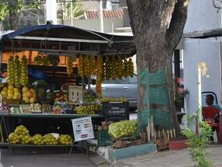 Banca de frutas, o local mais visitado pelos passarinhos que vivem por ali. (Foto: Simão Nogueira)