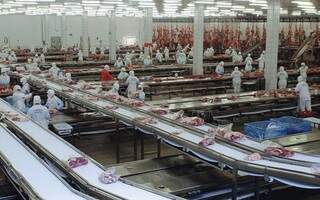 JBS domina o mercado de carne bovina no país. (Foto: Arquivo)