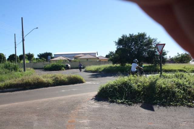 &Aacute;rea doada &agrave; Faculdade de Direito da UFMS &eacute; tomada pelo mato e lixo