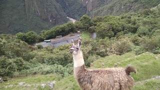 Quer conhecer Machu Picchu? Cansa, mas é melhor ir por conta própria 