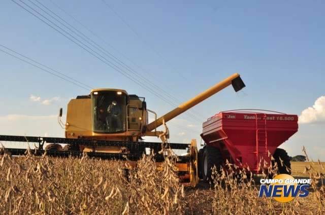 Preju&iacute;zo para produtores de soja deve superar R$ 300 milh&otilde;es em MS