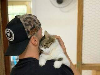 Acalme seu gato abraçando e dando carinho (Foto: Arquivo pessoal)