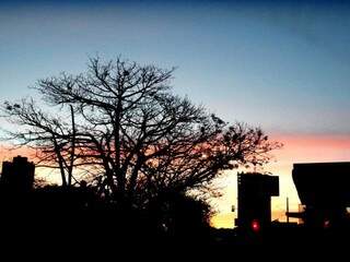 O amanhecer neste sábado em Campo Grande (Foto: Saul Schramm)