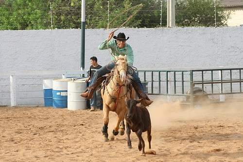 Feira agropecu&aacute;ria come&ccedil;a na pr&oacute;xima semana com shows nacionais e torneios