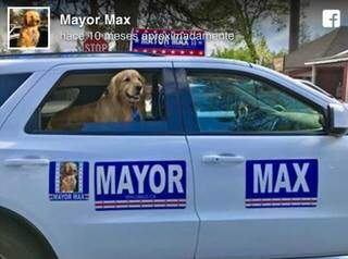 Uma cidade dos EUA elege seu prefeito: um cão