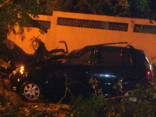 &Aacute;rvore cai e atinge carro durante tempestade desta sexta-feira