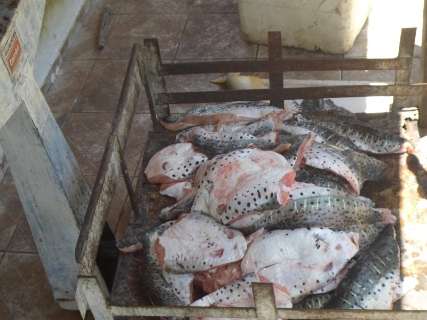 Dois são presos com 140 kg de peixes capturados no rio Paraguai