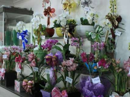 Orquídeas estão mais caras, mas ainda são as preferidas para as mães