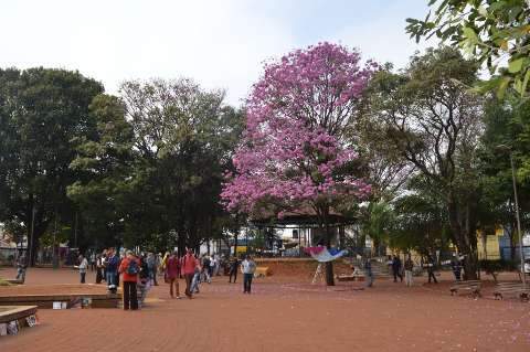 Pra&ccedil;a ocupada por livros mostra que na era digital, ainda h&aacute; quem prefira papel