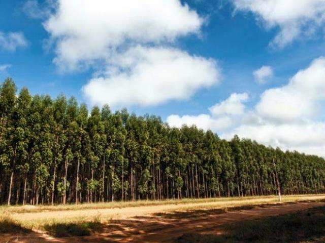 Campo se moderniza e impulsiona qualifica&ccedil;&atilde;o profissional em MS