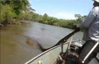 Homem perseguindo sucuri no Rio Santa Maria. (Foto: reprodução/vídeo Facebook) 