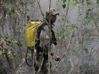 Os combates no Pantanal são feitos em áreas de difícil acesso (Foto: Divulgação/Bombeiros)