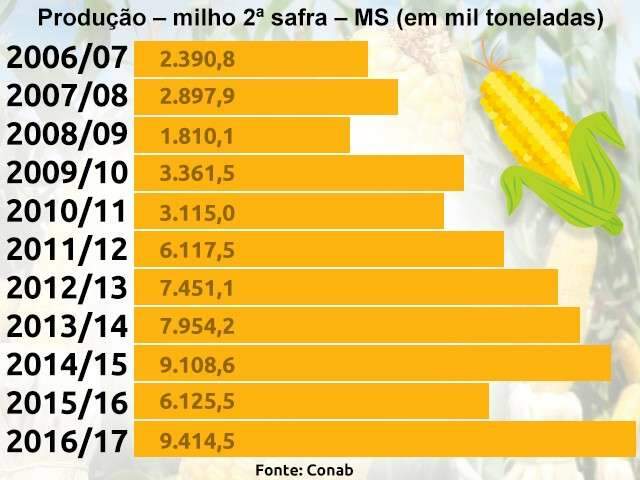 Produ&ccedil;&atilde;o de milho &eacute; a maior da hist&oacute;ria, mas pre&ccedil;o &eacute; o pior desde 2010