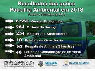 Em 2018, Patrulha Ambiental resgatou quase 90 animais em Campo Grande