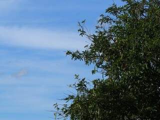 Céu com nuvens na tarde desta quarta-feira em Campo Grande. Feriadão terá céu nublado e temperatura máxima de 34ºC no estado. (Foto: André Bittar)