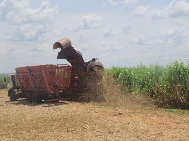 Usinas de &aacute;lcool perdem at&eacute; 4 dias de trabalho com excesso de chuva 