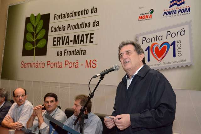 Licita&ccedil;&atilde;o para compra de mudas de erva mate beneficiar&aacute; mais de 200 produtores