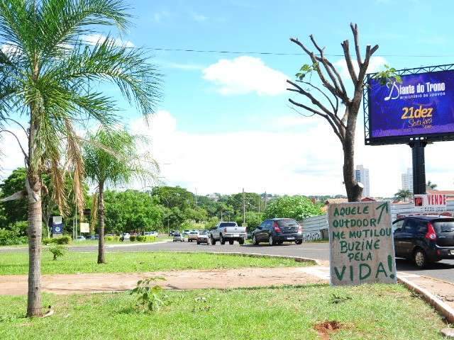 Pol&iacute;cia Civil busca testemunhas que viram corte de ip&ecirc;