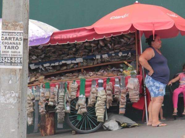 Mesmo com alertas, &eacute; poss&iacute;vel achar noz da &Iacute;ndia bem no centro da cidade