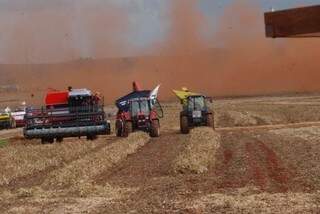 O objetivo da FAO na América Latina e Caribe é montar uma rede de entidades com o propósito de reduzir a perda na produção e na pós-colheita dos alimentos. (Foto: Divulgação)