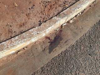 Marcas de sangue foram encontradas no asfalto (Foto: Saul Schramm)
