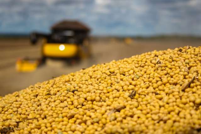 Lavouras devem aumentar produ&ccedil;&atilde;o em 13,5% na safra 2015, estima IBGE