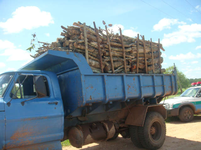  Caminh&atilde;o de madeira &eacute; apreendido e dono multado em R$ 4,5 mil
