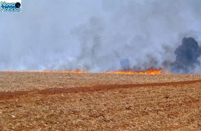 Tratorista registra equipe de usina ateando fogo a canavial em