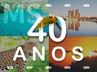 Em 4 d&eacute;cadas, MS se torna um dos estados mais competitivos do Pa&iacute;s 