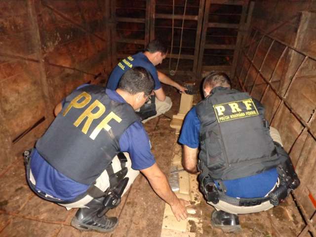 Pol&iacute;cia apreende carga de maconha avaliada em R$ 2 milh&otilde;es