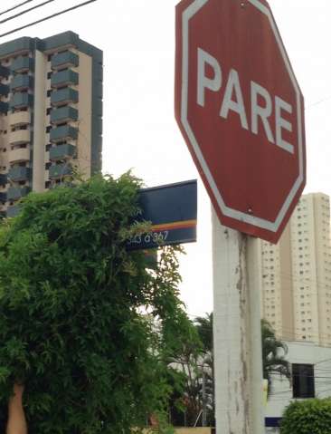 &Aacute;rvore cobre placa e leitora reclama de descaso