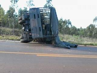 Caminhão ficou tombado na pista. (Foto: Repórter News)