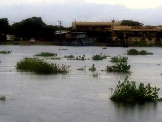 Rio Paraguai inundou comunidade ribeirinha em Corumbá. (Fotos: Edemir Rodrigues/Segov)