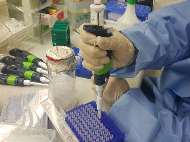 Mulheres e crian&ccedil;as infectadas por Zika desenvolvem imunidade ao v&iacute;rus