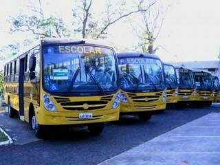 Ônibus que serão doados pelo governo (Foto: Divulgação)