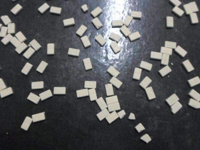 Travesti presa por vender ecstasy trazia droga do litoral de SC