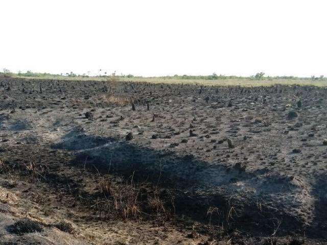 Calor e vento propagam inc&ecirc;ndio que j&aacute; destruiu 30 mil hectares de parque