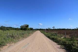 Estrada vicinal separa pastagem para o gado de plantio de soja. (Foto: Kisie Ainoã)