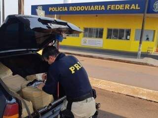 Policial recolhe maconha do porta-malas de carro apreendido na BR-463 (Foto: Divulgação)