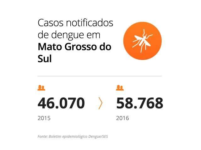 Capital fecha ano com dobro de casos de dengue e redobra alerta para 2017