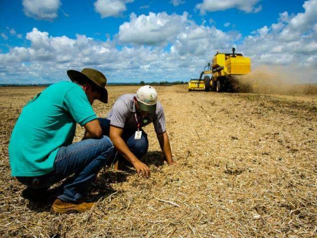 Em dois meses de safra, contratos de cr&eacute;dito rural em MS batem R$ 2 bilh&otilde;es