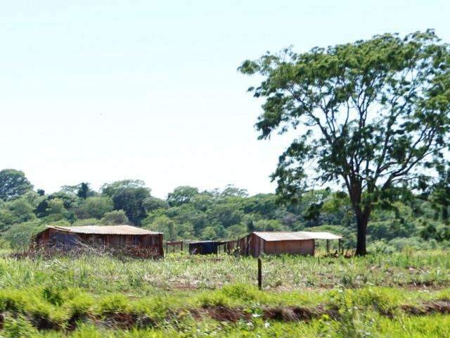 Sitiantes criticam demora da Justi&ccedil;a em mandar pol&iacute;cia despejar &iacute;ndios