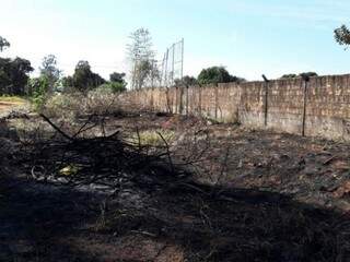 Após flagrar a queimada, o morador fez um registro do terreno totalmente incendiado. (Foto: Direto das Ruas) 