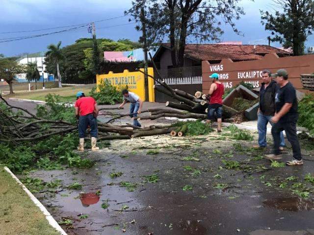 União Reconhece Emergência Em Município Atingido Por Vendaval Em Ms Interior Campo Grande News 