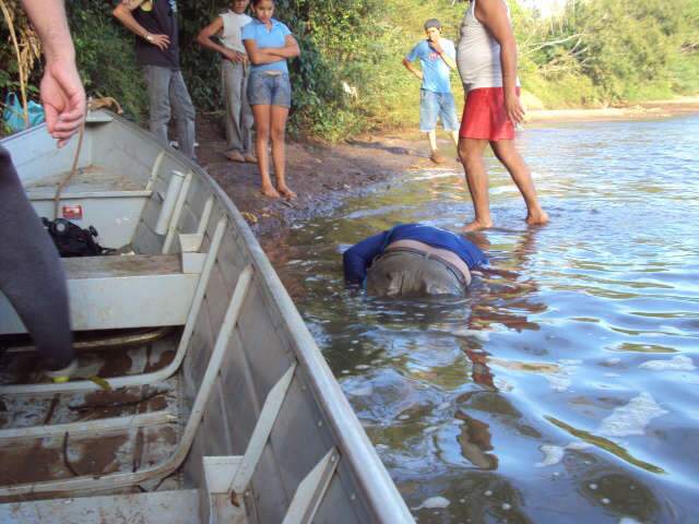  Homem morre afogado no rio Miranda, em Jardim