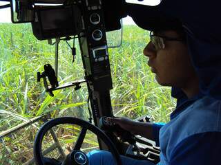 Mecanização agrícola ampliou demanda por mão-de-obra qualificada. (foto: Divulgação)