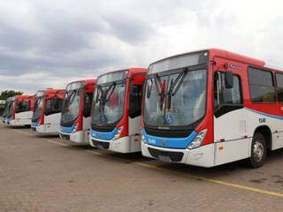 Os novos ônibus devem substituir os antigos em até 15 dias (Foto: Arquivo)
